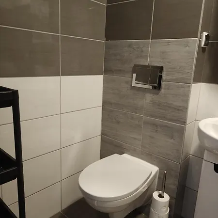 Goscinne Rozbark Hotel *