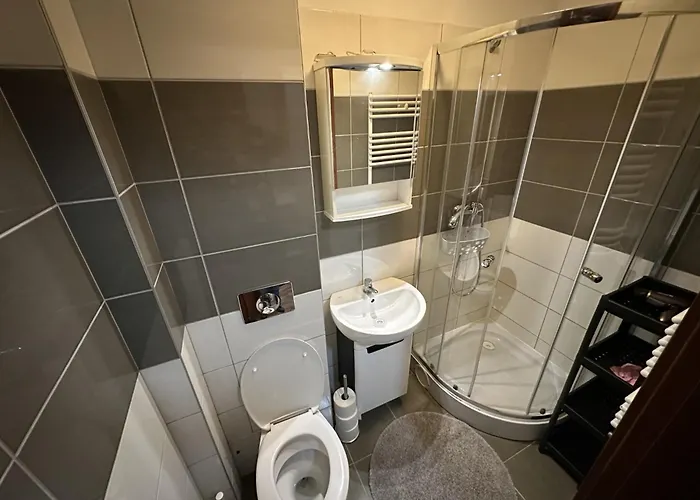 Goscinne Rozbark מלון *