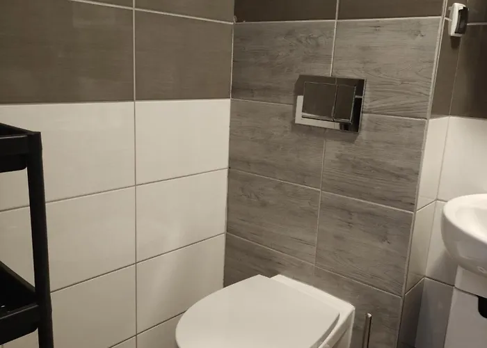 Goscinne Rozbark מלון *